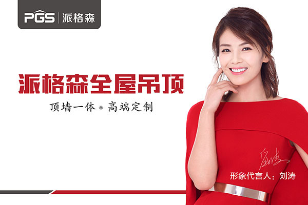 刘涛代言的内衣品牌_刘涛代言内衣sc性感照(2)